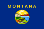 State Flag