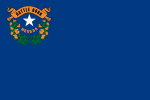 State Flag